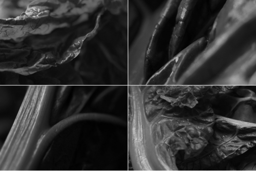Food & The City: The Foodprint Project